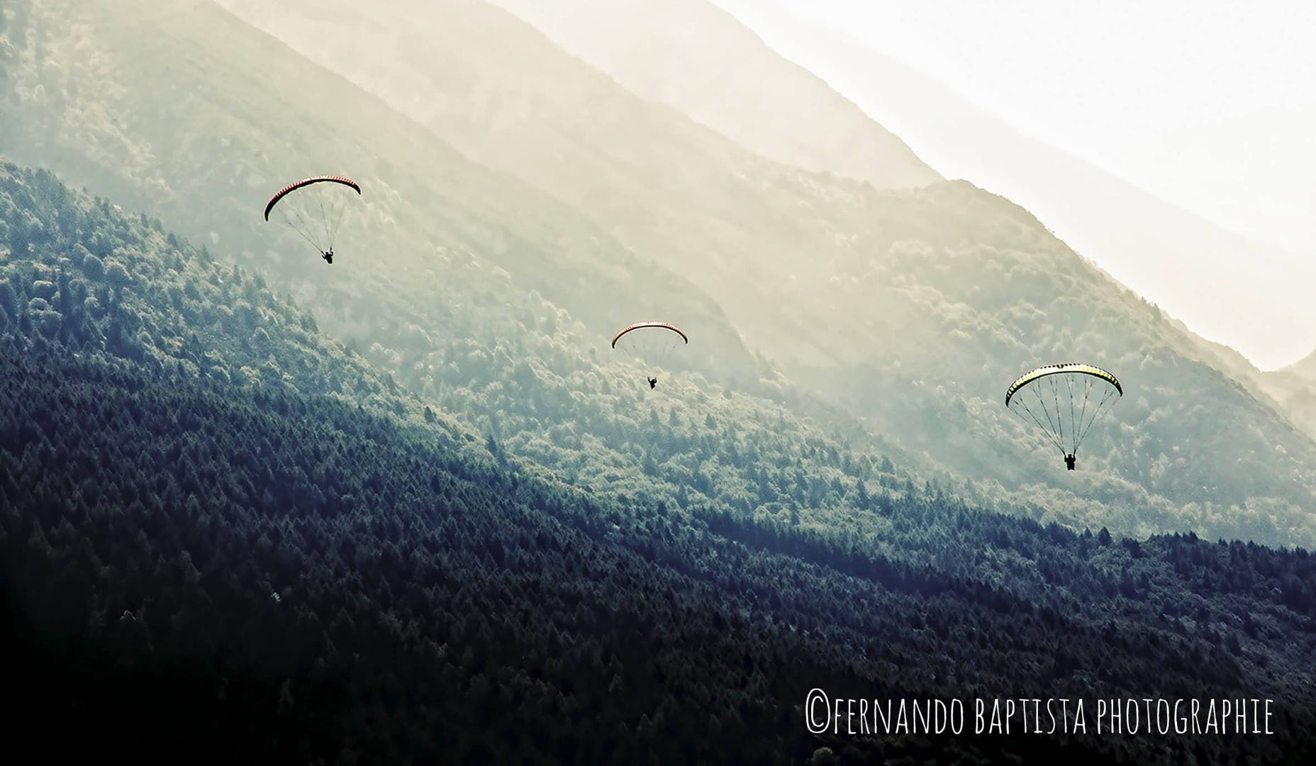 Drei Gleitschirmflieger gleiten  über die Wälder am Gardasee