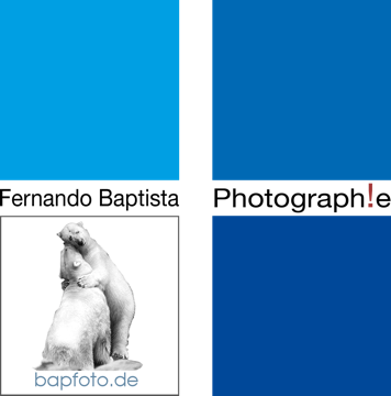 bapfoto.de Logo